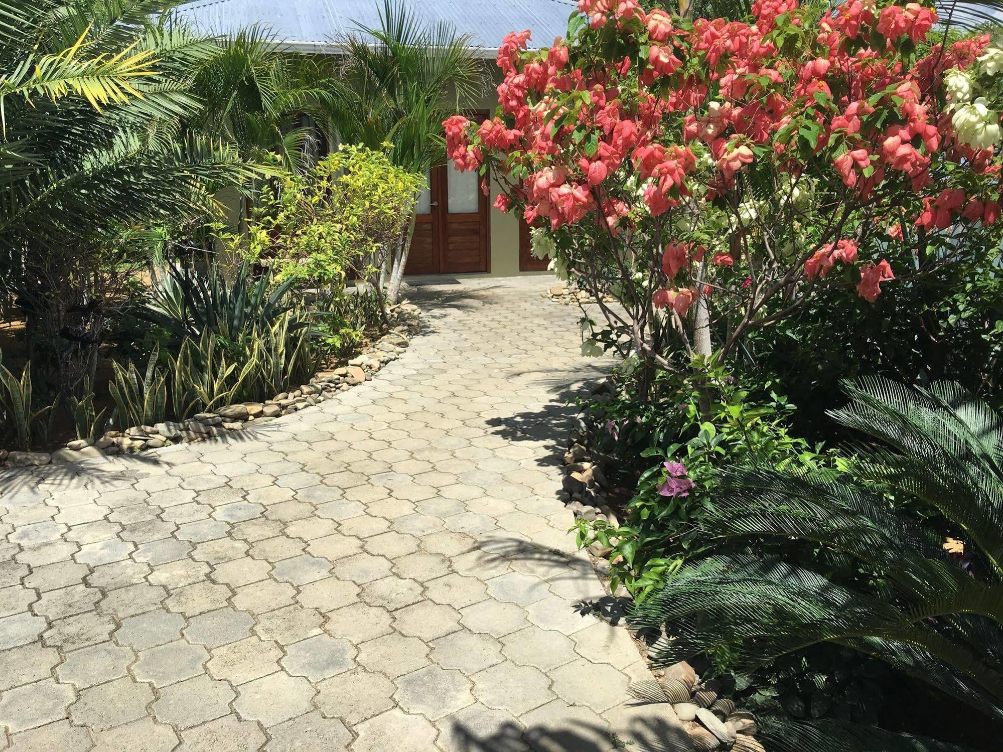 Soma Surf Resort Tola Extérieur photo